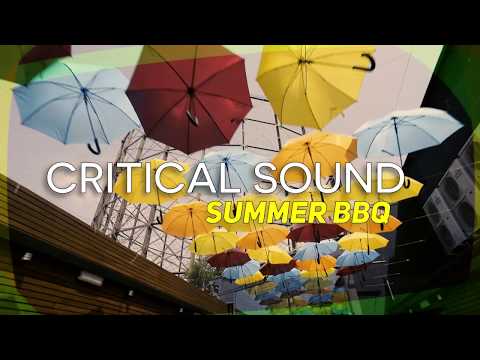 Critical Sound BBQ - Studio 338 - 25th May 2019