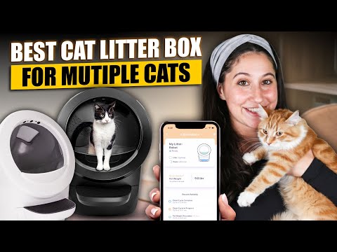 Best Cat Litter Box for Multiple Cats: Stop Tracking & Reduce Scooping Forever