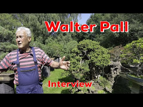 BonsaiKunstHamburg im Interview mit Walter Pall