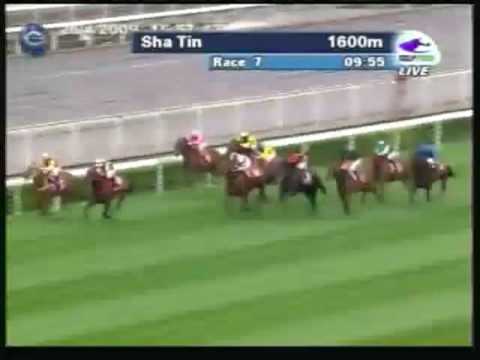 Champions Mile Hong Kong 2009