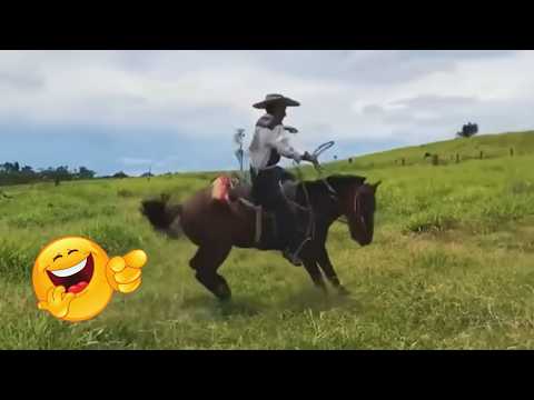 🐄 Animais de Fazenda Mais Espertos e Engraçados da Internet: novos episódios!😂🐖