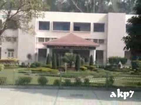 dav college jalandhar