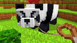 How to tame PANDA in Minecraft?