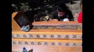 Ebiet G Ade __ Ayah Aku Mohon Maaf (43D4)