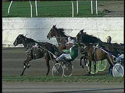 Trotto 20/11/2016 - 2ª corsa