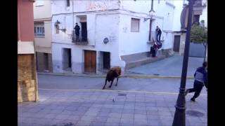 preview picture of video 'sueras bous al carrer,,,,,por los pelos'
