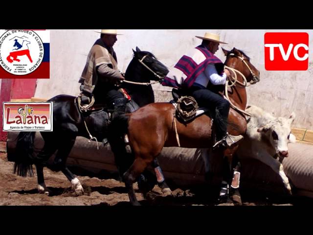 LOS GANADORES DEL PRIMER CLASIFICATORIO DE RODEO DE LA FENARO DE CHILE LOS GANADORES DEL PRIMER CLASIFICATORIO DE RODEO DE LA FENARO DE CHILE