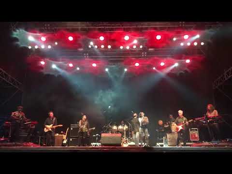 Ziggy Marley - Rebellion Rises