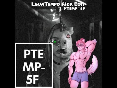 Teddy Tempo and LguaTempo