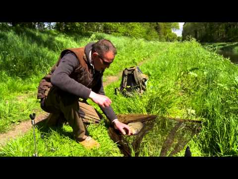 Visblad TV - mobiel karpervissen met Roy Alofs