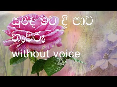 Suwanda Mata Dee Karaoke (without voice) සුවඳ මට දී පාට තැවරූ