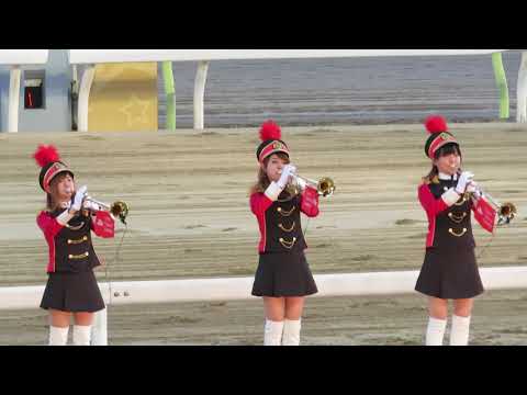 東京トゥインクルファンファーレ　大井10R　第６３回東京大賞典　2017.12.29