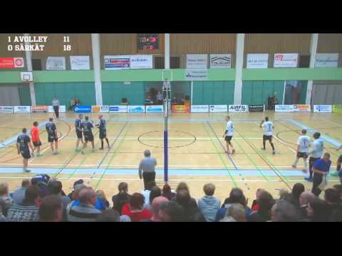 1.3.2014 A-Volley - Särkät Volley