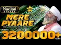 Mere Pyare Satgur Ji Bhai Gurpreet Singh Rinku Veer Ji Amritvela Trust