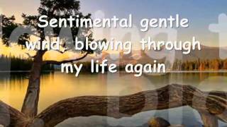 Sentimental Lady by Fleetwood Mac