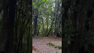 宗像大社〜高宮祭場〜福岡県宗像市
