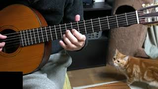 押尾コータローさんの曲を小指なしで弾く