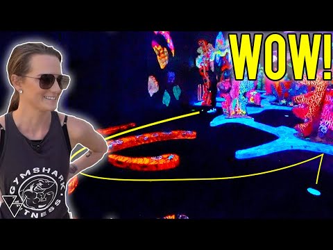 Elisha's Mini Golf Hole In One Skills Are Crazy!