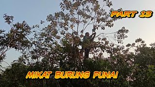 Download lagu mulut burung punai di pagi hari ini !!! sangat aneh bikin kita bingung pradik mp3 Download lagu mulut burung punai di pagi hari ini !!! sangat aneh bikin kita bingung pradik mp3