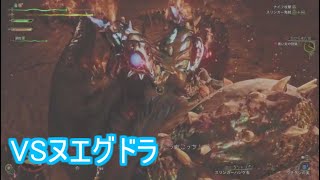 【モンスターハンター：ワイルズ】初期装備の限界…　ＶＳヌエグドラ