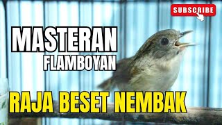Download lagu MASTERAN FLAMBOYAN •• RAJA BESETAN NEMBAK PANJANG •• TERBAIK UNTUK PEMULA mp3