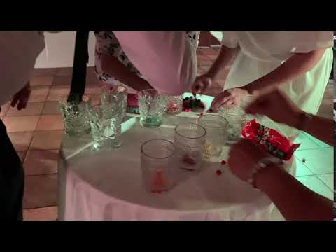 Mažvydas Šimkus LT/ENG vedėjas ir komanda #2