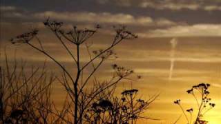 Faruk Sabanci - Emotional Outburst (Original Mix)