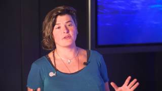 Where sea monsters roam | Lauren Fox | TEDxPortobello