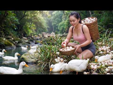 Harvesting 1000 Ducks Eggs for Market Sale - Earning 3 Million VND | Thương - Bushcraft