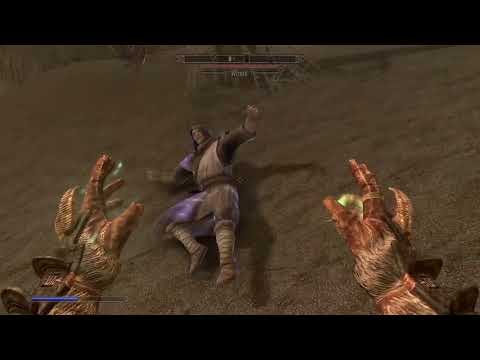 Saving Flying Wizard in Solstheim. Skyrim Anniversary Edition