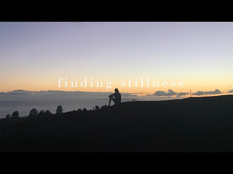 finding stillness (ram dass and me)