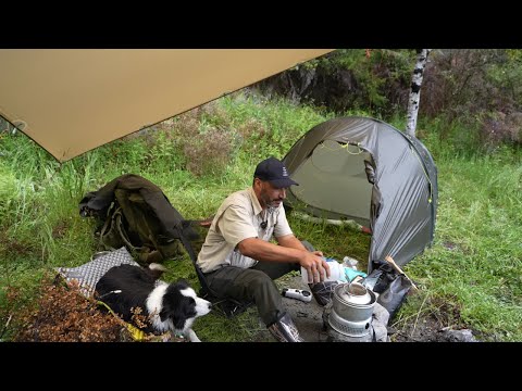 CAMPING in RAIN - TENT - Stone FIRE Pit - ASMR