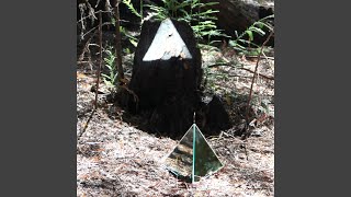 The Overachievers (By Devendra Banhart &amp; The Grogs)