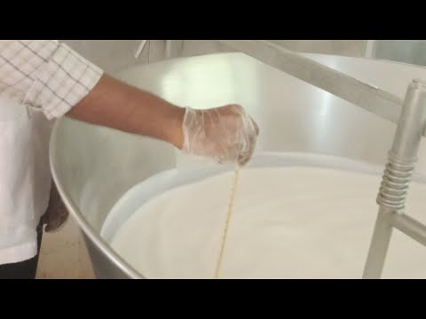 Dairy Processing — Module 3