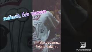 Download lagu story wa akustik kumpul bareng teman virallll!!! mp3