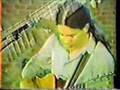 Michael Hedges - The Happy Couple
