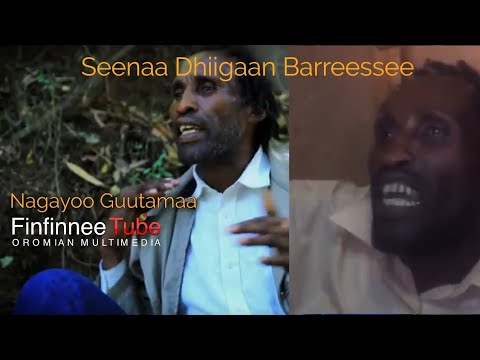 Seenaa Dhiigaan Barreessee: Nagayoo Gutamaa