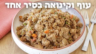 תבשיל קינואה ועוף | מתכון בריא וקל להכנה