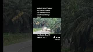 Download lagu Tanjakan bukit kodok mp3
