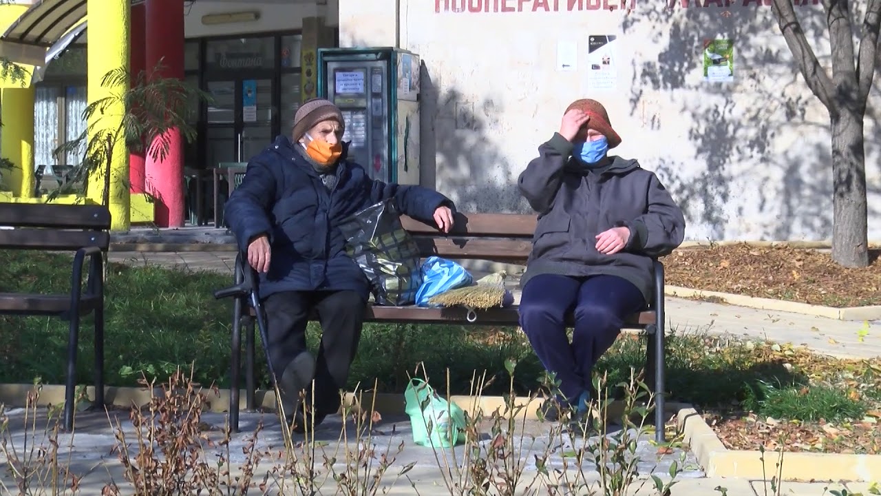 Баща и син правят дървена къщичка за бездомни кучета