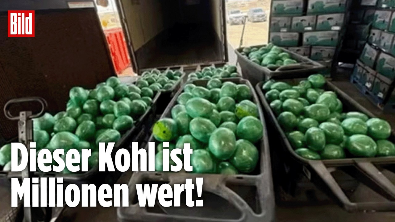 Schmuggel-Gemüse: DEA entdeckt mehr als 900 Kilo Crystal Meth zwischen Kohlblättern
