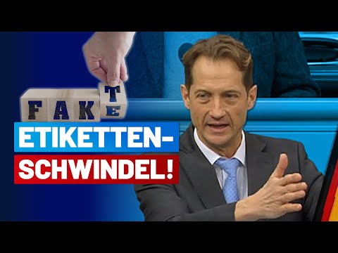 Climate goals vs. security of supply – the conflict! Prof. Dr. Ingo Hahn – AfD parliamentary grou...