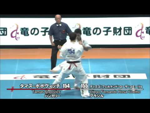 【新極真会】 The 11th World Karate Championship Men 2nd round59 Tamas Popovics vs Diego  Coelho