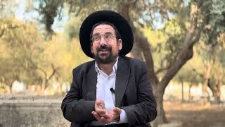 משפט ונקמה ברשעים | הרב אליהו ובר (ישיבת הר הבית) - התמונה מוצגת ישירות מתוך אתר האינטרנט יוטיוב. זכויות היוצרים בתמונה שייכות ליוצרה. קישור קרדיט למקור התוכן נמצא בתוך דף הסרטון