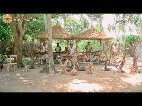 WWD 2021 Music of Wood - DJARABIKAN - Live Concert in Ivory Coast