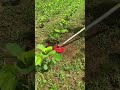 Agriculture Agricultor Agrimachine