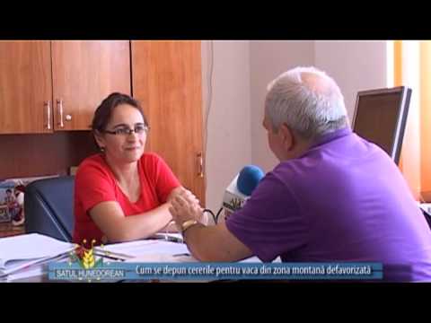 Satul hunedorean 16 iunie 2013