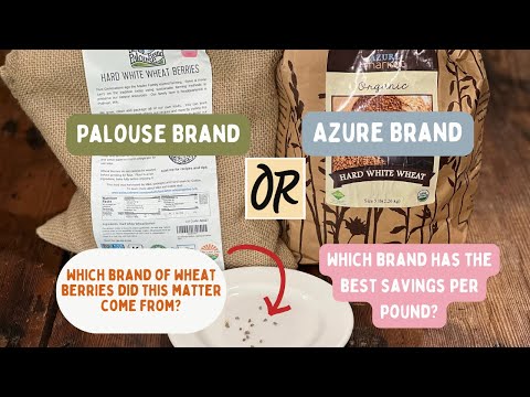 Comparing Azure Standard and Palouse Brands of Wheat Berries