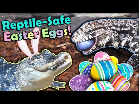 Reptile Easter Celebration!