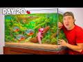 30 Days Building a Tiny Ecosystem (with predators)